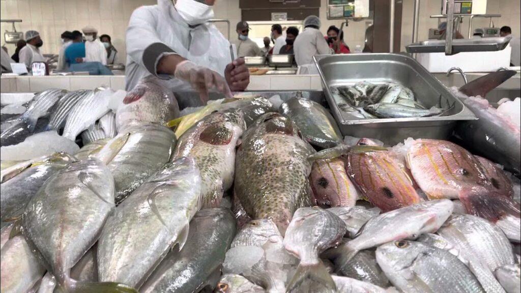 Ras Al Khaimah Stadtrundfahrten