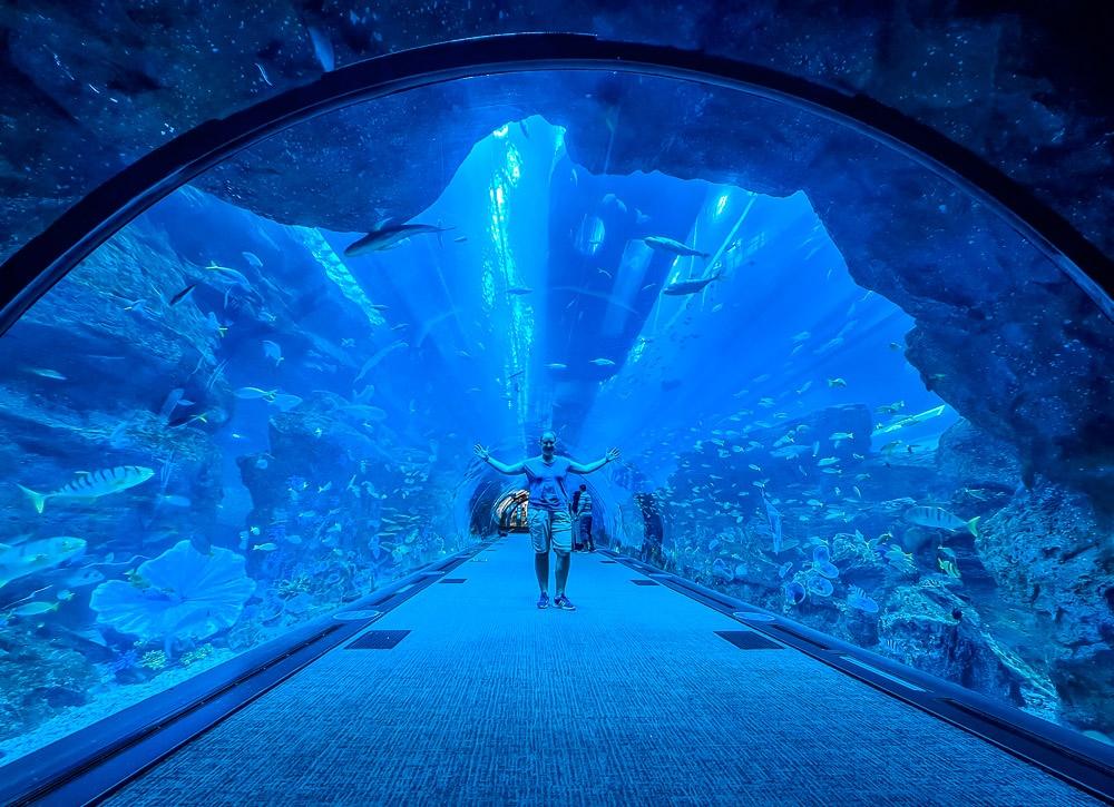 TOP 5 Dubai Sehenswürdigkeiten Ausflug